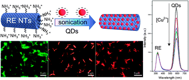 Graphical abstract: Dual-emitting nanocomposites derived from rare-earth compound nanotubes for ratiometric fluorescence sensing applications