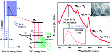 Graphical abstract: Optical down-conversion in doped ZnSe:Tb3+ nanocrystals