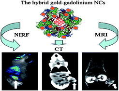 Graphical abstract: Hybrid gold–gadolinium nanoclusters for tumor-targeted NIRF/CT/MRI triple-modal imaging in vivo