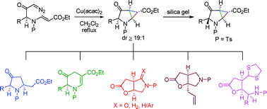 Graphical abstract: Stereoselective synthesis and applications of nitrogen substituted donor–acceptor cyclopropanes (N-DACs) in the divergent synthesis of azacycles