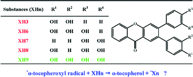 Graphical abstract: The dependence of α-tocopheroxyl radical reduction by hydroxy-2,3-diarylxanthones on structure and micro-environment
