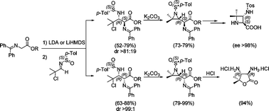 Graphical abstract: Asymmetric synthesis of α,β-diamino acid derivatives with an aziridine-, azetidine- and γ-lactone-skeleton via Mannich-type additions across α-chloro-N-sulfinylimines