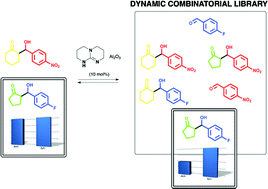 Graphical abstract: TBD/Al2O3: a novel catalytic system for dynamic intermolecular aldol reactions that exhibit complex system behaviour