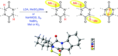 Graphical abstract: Thiolation of symmetrical and unsymmetrical diketopiperazines