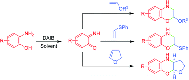 Graphical abstract: Chemical generation of o-quinone monoimines for the rapid construction of 1,4-benzoxazine derivatives