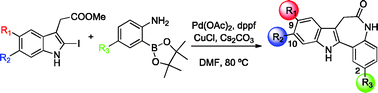 Graphical abstract: New synthetic approach to paullones and characterization of their SIRT1 inhibitory activity