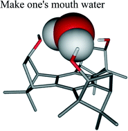 Graphical abstract: (+)-syn-Benzotriborneol an enantiopure C3-symmetric receptor for water