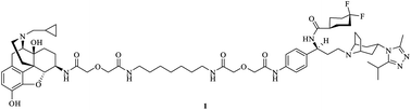 Graphical abstract: Design and synthesis of a bivalent ligand to explore the putative heterodimerization of the mu opioid receptor and the chemokine receptor CCR5