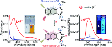 Graphical abstract: An alternative approach: a highly selective dual responding fluoride sensor having active methylene group as binding site