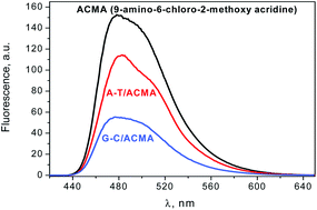 Graphical abstract: The mode of binding ACMA–DNA relies on the base-pair nature