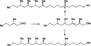 Graphical abstract: Total synthesis of a cuticular hydrocarbon from the cane beetle Antitrogus parvulus: confirmation of the relative stereochemistry