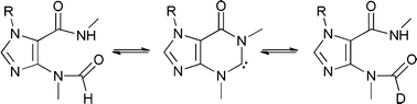 Graphical abstract: Studies of the H–D exchange mechanism of malonganenone B