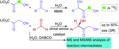 Graphical abstract: Investigating the reaction mechanism and organocatalytic synthesis of α,α′-dihydroxy ketones