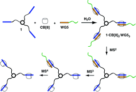 Graphical abstract: Probing the stability of multicomponent self-assembled architectures based on cucurbit[8]uril in the gas phase