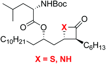 Graphical abstract: Synthesis and biological investigation of the β-thiolactone and β-lactam analogs of tetrahydrolipstatin