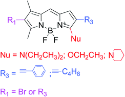 Graphical abstract: Diversity-oriented derivatization of BODIPY based on regioselective bromination