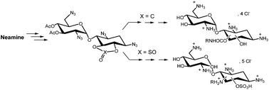 Graphical abstract: Synthesis and antibacterial activity of novel neamine derivatives: preponderant role of the substituent position on the neamine core