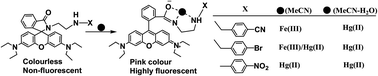 Graphical abstract: Alteration of selectivity in rhodamine based probes for Fe(iii) and Hg(ii) ion induced dual mode signalling responses