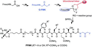 Graphical abstract: A general solid phase method for the synthesis of sequence independent peptidyl-fluoromethyl ketones