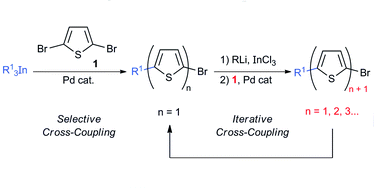 Graphical abstract: Synthesis of functionalized thiophenes and oligothiophenes by selective and iterative cross-coupling reactions using indium organometallics