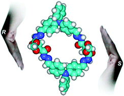 Graphical abstract: Synthesis of novel enantiomerically pure tetra-carbohydrazide cyclophane macrocycles