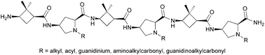 Graphical abstract: Searching for new cell-penetrating agents: hybrid cyclobutane–proline γ,γ-peptides