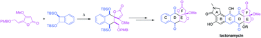 Graphical abstract: Dramatic influence of the substitution of alkylidene-5H-furan-2-ones in Diels–Alder cycloadditions with o-quinonedimethide as diene partner: en route to the CDEF polycyclic ring system of lactonamycin