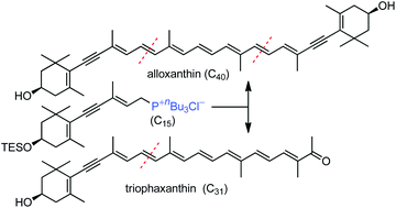 Graphical abstract: Stereoselective total synthesis of the acetylenic carotenoids alloxanthin and triophaxanthin