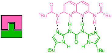 Graphical abstract: Design, synthesis and binding studies of a novel quadruple ADDA hydrogen-bond array