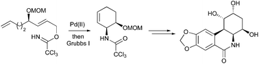 Graphical abstract: Stereoselective synthesis of functionalised carbocyclic amides: construction of the syn-(4aS,10bS)-phenanthridone skeleton