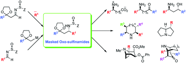 Graphical abstract: Synthesis and applications of masked oxo-sulfinamides in asymmetric synthesis