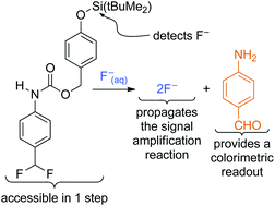 Graphical abstract: A small molecule sensor for fluoride based on an autoinductive, colorimetric signal amplification reaction