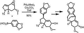 Graphical abstract: Flexible synthesis of montanine-like alkaloids: revisiting the structure of montabuphine