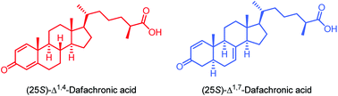 Graphical abstract: Stereoselective synthesis and hormonal activity of novel dafachronic acids and naturally occurring steroids isolated from corals