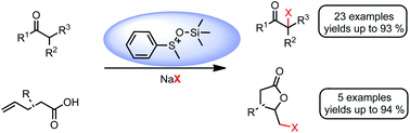 Graphical abstract: Sulfoxide-mediated Umpolung of alkali halide salts