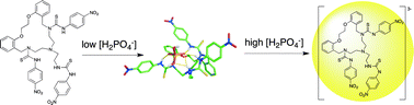 Graphical abstract: A chemosensor for dihydrogenphosphate based on an oxoazamacrocycle possessing three thiourea arms