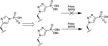 Graphical abstract: Triazole phosphohistidine analogues compatible with the Fmoc-strategy