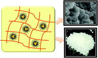 Graphical abstract: Lipase incorporated ionic liquid polymers as active, stable and reusable biocatalysts