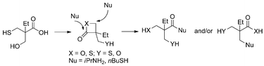 Graphical abstract: Comparison of the reactivity of β-thiolactones and β-lactones toward ring-opening by thiols and amines