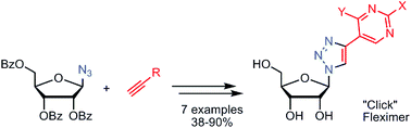 Graphical abstract: Click fleximers: a modular approach to purine base-expanded ribonucleoside analogues