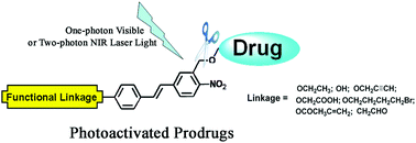 Graphical abstract: Long conjugated 2-nitrobenzyl derivative caged anticancer prodrugs with visible light regulated release: preparation and functionalizations