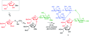 Graphical abstract: Synthesis of the O-linked hexasaccharide containing β-d-Galf-(1→2)-β-d-Galf in Trypanosoma cruzi mucins