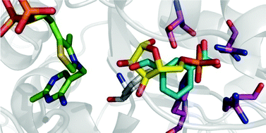 Graphical abstract: Rational substrate and enzyme engineering of transketolase for aromatics