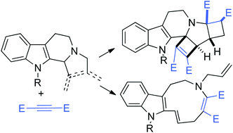 Graphical abstract: Medium-sized and strained heterocycles from non-catalysed and gold-catalysed conversions of β-carbolines