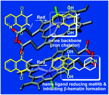 Graphical abstract: Synthesis and biological evaluation of 1,4-naphthoquinones and quinoline-5,8-diones as antimalarial and schistosomicidal agents