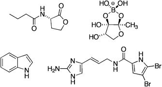 Graphical abstract: Small molecule control of bacterial biofilms