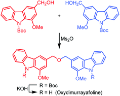 Graphical abstract: First total synthesis of the biscarbazole alkaloid oxydimurrayafoline