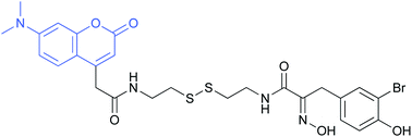 Graphical abstract: Fluorescent analogs of the marine natural product psammaplin A: synthesis and biological activity