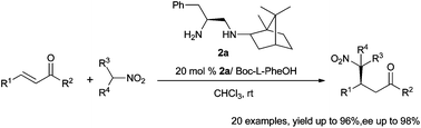 Graphical abstract: Camphor-derived C1-symmetric chiral diamine organocatalysts for asymmetric Michael addition of nitroalkanes to enones