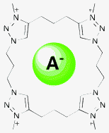 Graphical abstract: Anion binding in aqueous media by a tetra-triazolium macrocycle